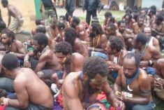 West Papua: Over 100 Arrested and Dozens of Houses Burned