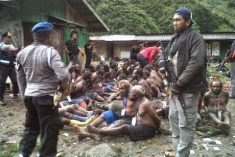 More than 700 West Papuan people persecuted – Human Rights abuses in West Papua have increased under Jokowi
