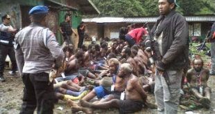 Statement on the mass arrests and burning of houses in Timika