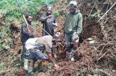 President Wenda: Indonesia bombards Star Mountains as situation escalates across West Papua