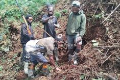 President Wenda: Indonesia bombards Star Mountains as situation escalates across West Papua