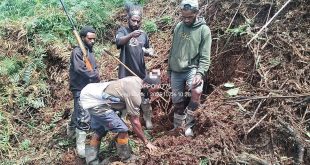 President Wenda: Indonesia bombards Star Mountains as situation escalates across West Papua