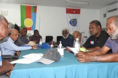 Government urged to honour Jayapura Resolutions