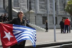NZ: MP criticises government over Indonesian foreign minister visit