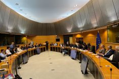 West Papua support network launched in European Parliament