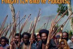 Forgotten Bird of Paradise (2009)