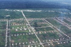 Statement on transmigration: “We are NOT a dumping ground for Indonesia”