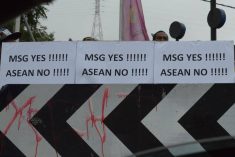 West Papua issue stirs during Jokowi’s PNG visit
