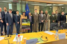 President Wenda: I call on MPs to sign the Brussels Declaration
