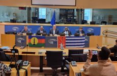 ULMWP & FLNKS hold historic meeting in European Parliament