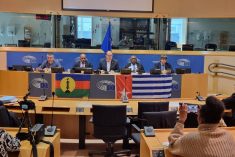 ULMWP & FLNKS hold historic meeting in European Parliament