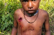 President Wenda: At least nine killed as Indonesia commits new massacre in Puncak