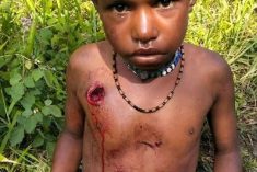 President Wenda: At least nine killed as Indonesia commits new massacre in Puncak