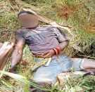 Interim President Wenda: Four massacred by rogue military unit as Intan Jaya becomes warzone 