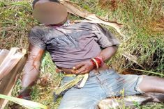 Interim President Wenda: Four massacred by rogue military unit as Intan Jaya becomes warzone 