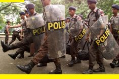 Seven Papuan activists have been detained for their peaceful political activities