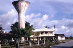 The Biak Massacre (1998)