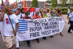 West Papua could follow same path as the FLNKS: academic