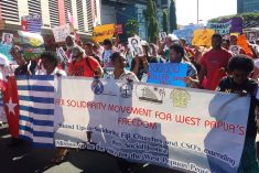 Hundreds march for West Papua