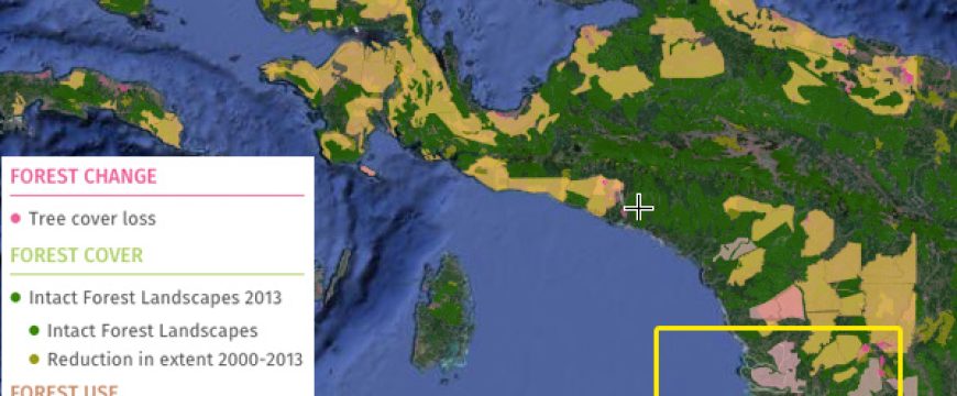 West Papua ‘oil palm atlas’ portrays industry’s explosion in region