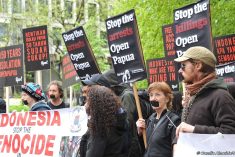 Survival International: Protestors demand end to isolation of West Papua