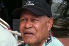 Activist: Indonesia likely to veto any Pacific monitoring mission in West Papua