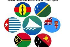 Indonesia’s Melanesia policy no concern for West Papua group