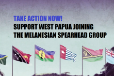 Take Action Now – Support West Papua joining the Melanesian Spearhead Group